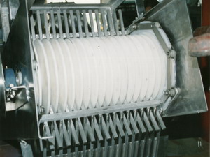 Fish Industy Conveyor