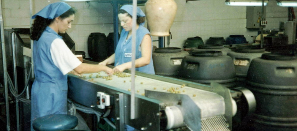 Food Industry Conveyors