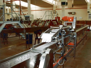 Food Industry Conveyors