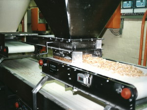 Food Industry Conveyors