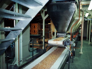 Food Industry Conveyors