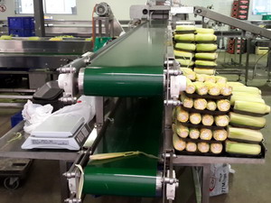 Food Industry Conveyors