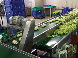 Food Industry Conveyors