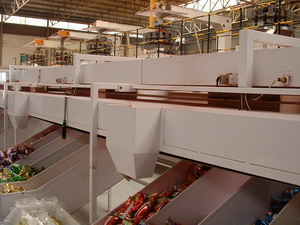 Food Industry Conveyors