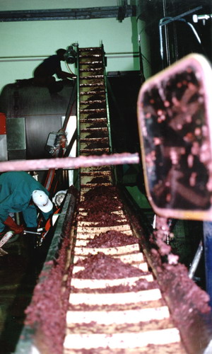 Incline Belt Conveyor