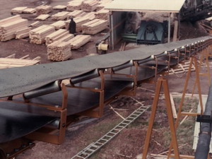 Trough Conveyor