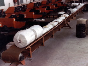 Trough Conveyor