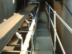 Trough Conveyor